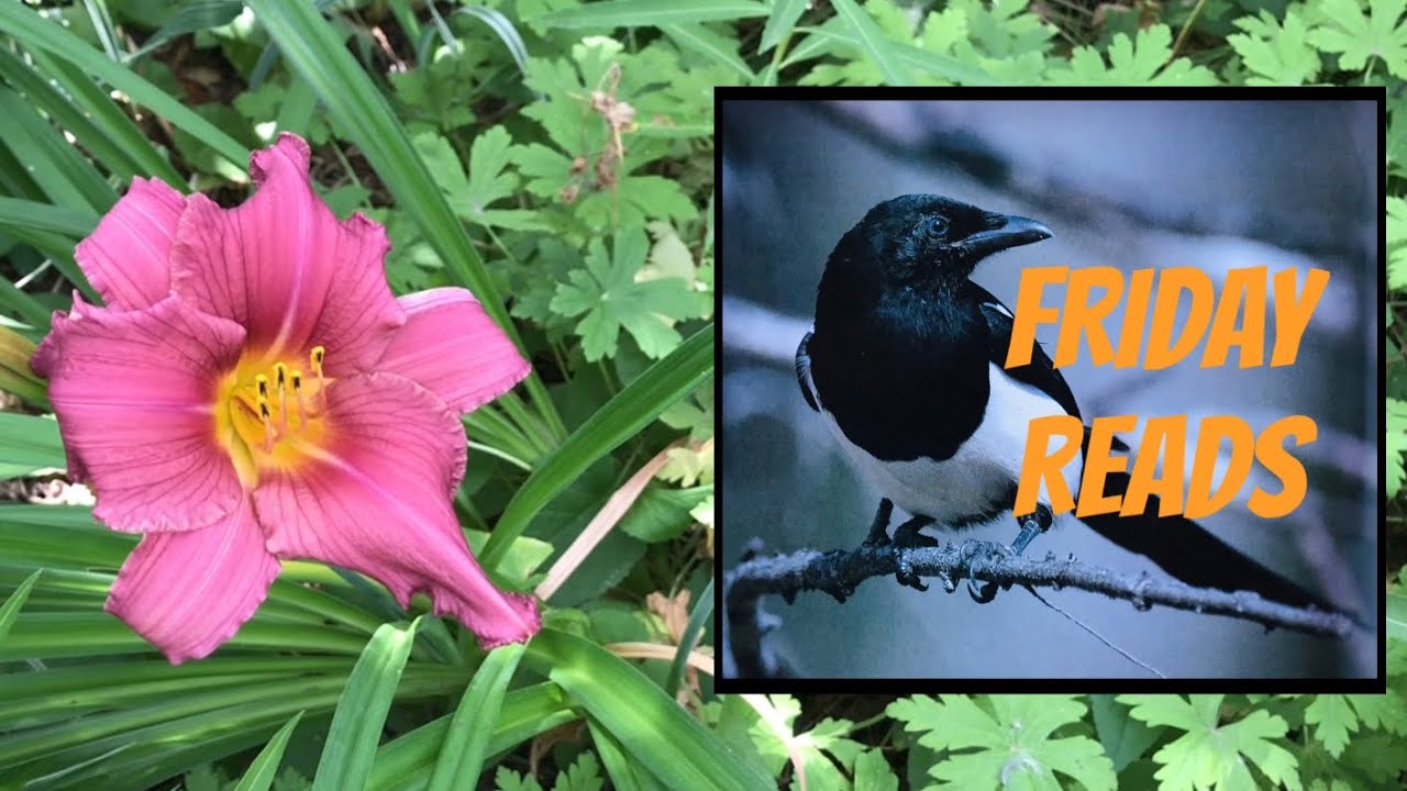 Friday Reads August 12: Canadian Shadow Giller project continues + 5-star read from Booker longlist