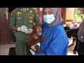 He Was Only Two Years Old: Rescuing a Baby Orangutan From Captivity