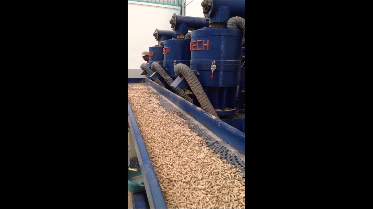 100 pine wood pellets for animal bedding YouTube