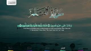 استمع بخشوع| تلاوة تفسيريه للشيخ هيثم الدخين | الملك - القلم -الحاقة - المعارج -نوح haitham aldokhin