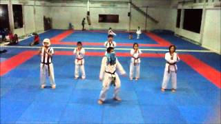 Harlem Shake TKD UD