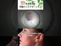 【耳掃除】お昼休みに自分の耳見たいのでUP希望～