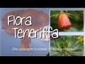 Flora Teneriffa (2007)