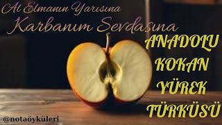 Al Elmanin Yarisinaanadolu Türküleri