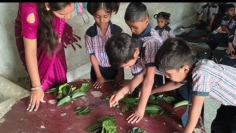 IGNOU DECE 4 PROJECT charan 1 kriya satr 10 मिलान और वर्गीकरण की योग्यता