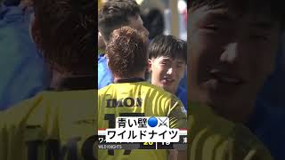 青い壁 ワイルドナイツ🔵⚔️埼玉WK 7点差リードを守り切る。20番NO8 ジャック・コーネルセン選手が相手を押し戻す。堅い守備でノーサイドのホイッスルを迎えます。