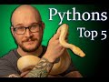 Top 5 BEST Pet Pythons | Big Snakes, Great Pets!