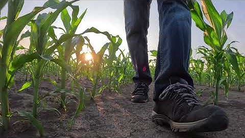 A Huge Opportunity - AI and Agronomy - Webinar Clip