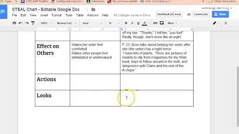 STEAL Characterization Video