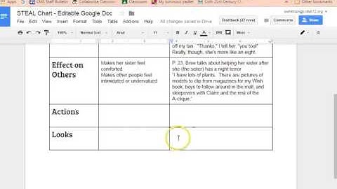 STEAL Characterization Video