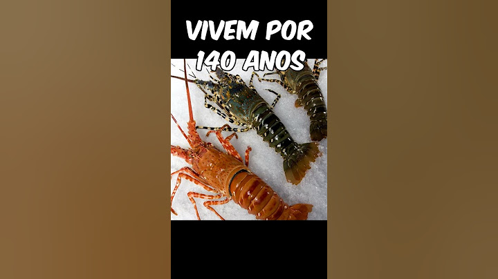 ANIMAIS QUE VIVEM POR MAIS TEMPO NO PLANETA TERRA 😱 #shorts