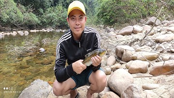 CÂU CÁ PAMI ( PLOO) BẰNG CỦ SẮN: VỪA CÂU VỪA NƯỚNG CÁ NHẬU