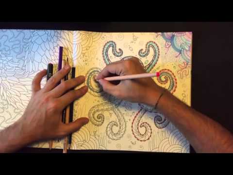 Download Hayrullah Kaya How To Paint A Coloring Book Nat Geo Magnificent Animals And Nuh Un Gemisi Boyama Kitabi