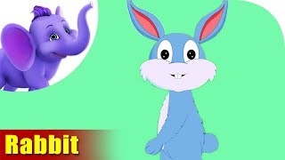 Rabbit Rhymes, Rabbit Animal Rhymes Videos for Children