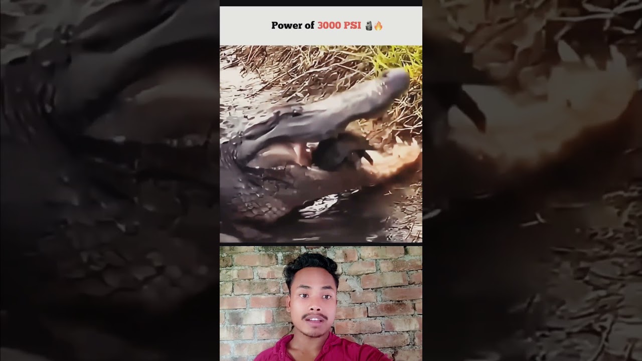 Power of 3000 PSI 💀😨 