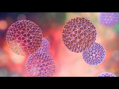 Video: Cómo Tratar Una Infección Por Rotavirus Embarazada