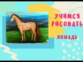 Учимся рисовать лошадь| рисование для детей 7+ | В мире животных 3 урок