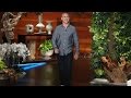 Headspace App Founder Andy Puddicombe Sits Down with Ellen