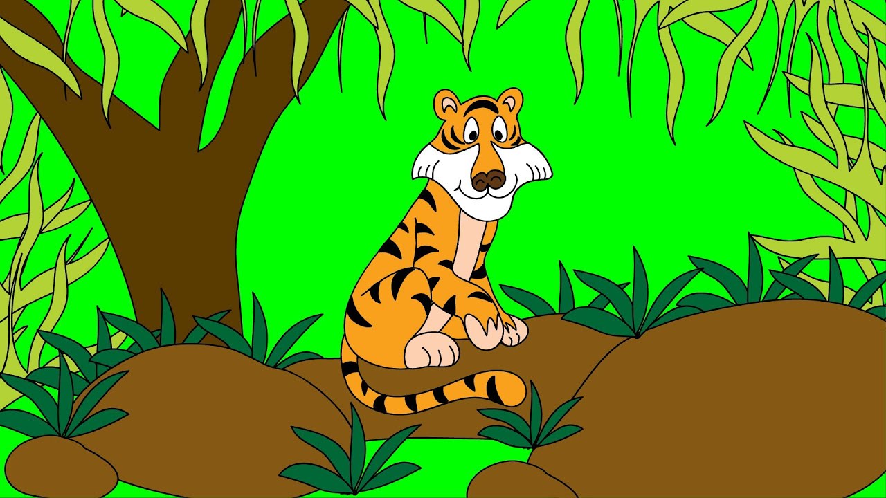 Meet the Tiger - Animals at the Zoo - Animal Sounds - Learn the Sounds Zoo  Animals Make - YouTube