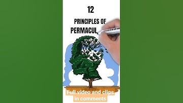 Permaculture 1st principle #naturelovers #garden #permaculture #organicfarming