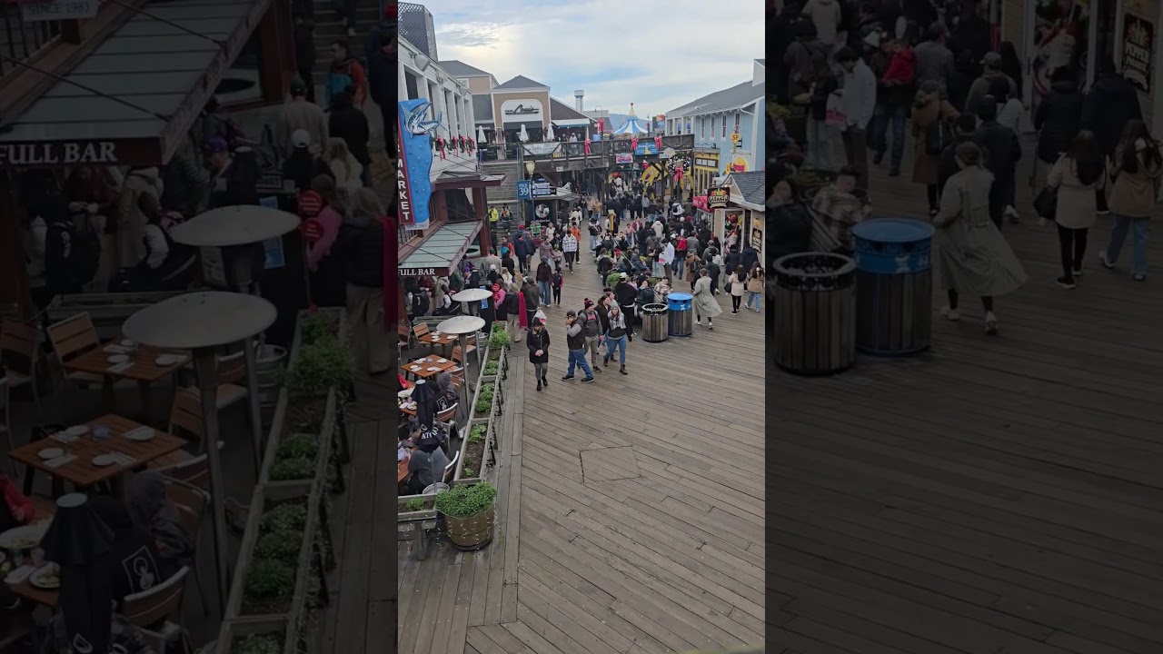 Pier 39 vibes 🌊✨” #shorts #pier39 #sanfrancisco #california #travel #fun #ytshorts