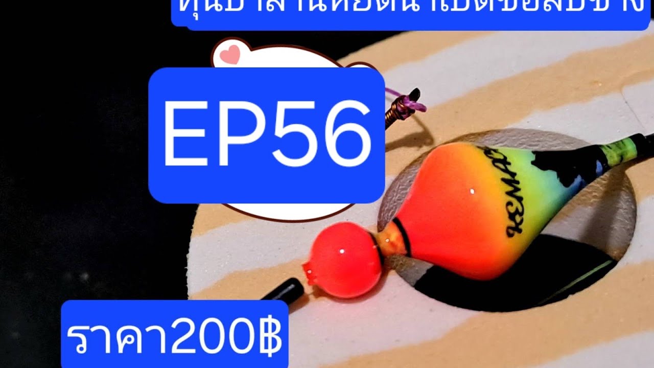 ตกกุ้งได้เยอะที่สุดในชีวิตตกยังไงมาดูกัน