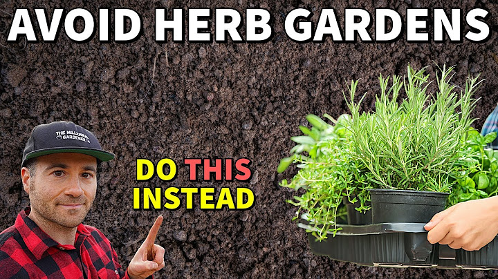 Why Interplanting Herbs Is BETTER Than Growing An Herb Garden