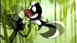 Bumper Zorrino Kung Fu Jetix Argentina Año 2008