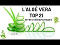 Dcouvrez 21 effets thrapeutiques de lalo vera aloevera sant bientre