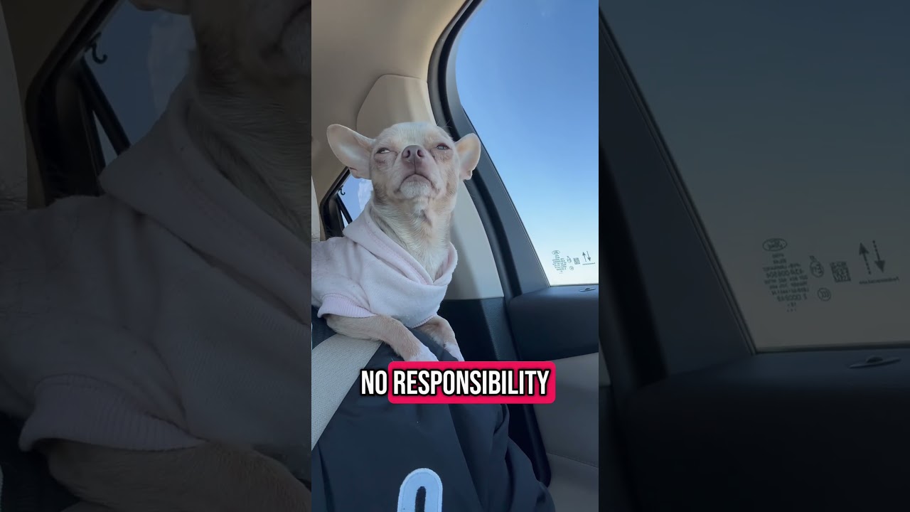 🫠daily affirmations 🙃