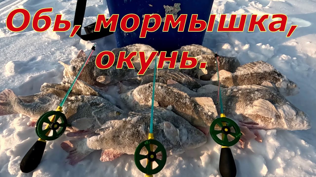 Мормышки отлетают только в путь. Рыбалка на Оби.