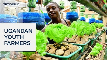 Urban farming offers new hope for Uganda’s youth