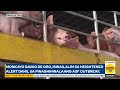 LGU Bataan, nakaalerto sa mga lugar na apektado ng Bagyong Maymay at habagat