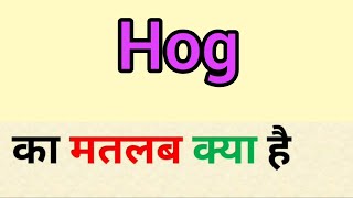 Hog meaning in hindi || hog ka matlab kya hota hai || word meaning english to hindi