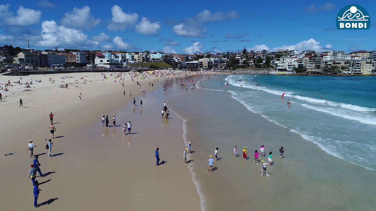 Bondi Beach Swim Between the Flags YouTube