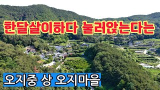 한달살이하다 눌러앉는다는 난리가 난줄도 몰랐다는 오지중 상 오지마을