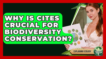 Why Is CITES Crucial For Biodiversity Conservation? - Explaining Ecology