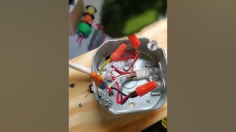 Sensky AC 110V Motion Sensor Light Switch  how to wire 2