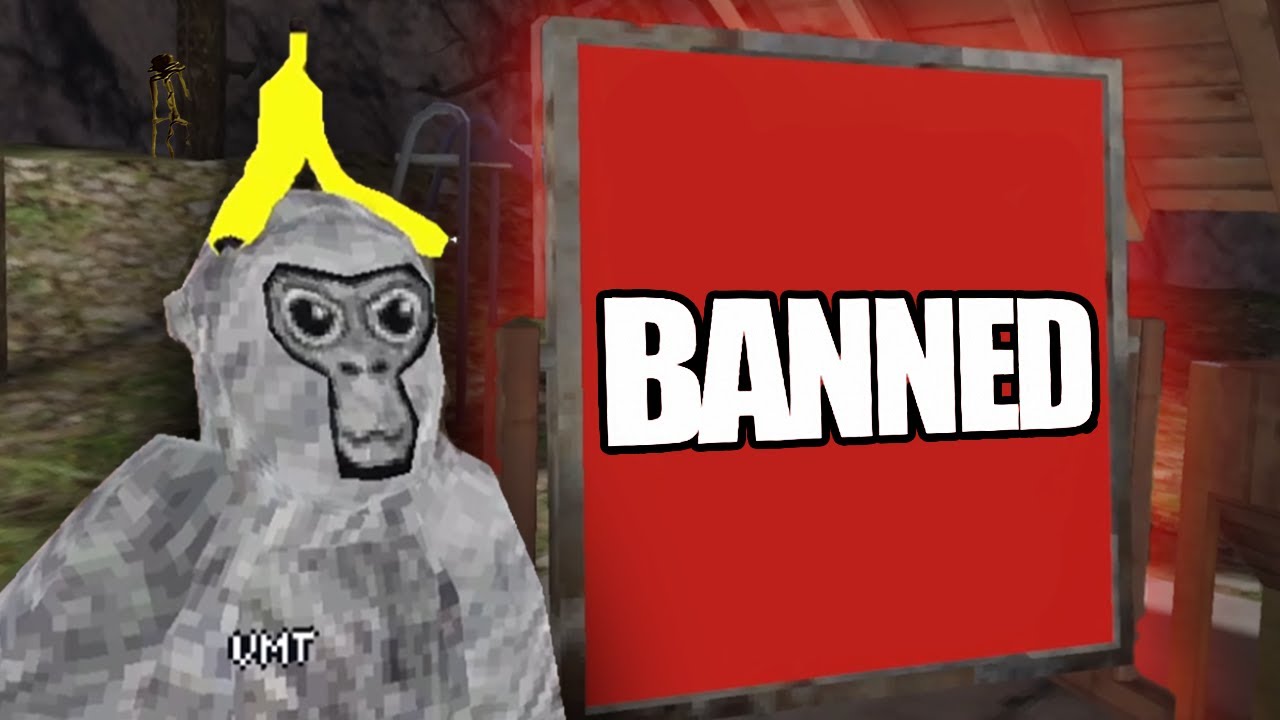 banned from gorilla tag discord｜TikTok Search