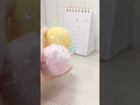 二つガチャガチャ開封！ #サンリオ #ポケモン