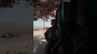 Food poison, brutal heat & wildcamping in Kurdistan