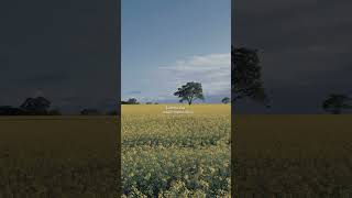 Download Lagu menunggumu sampai akhir hidup -shenna shannon - lirik MP3