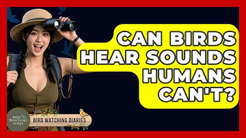 Can Birds Hear Sounds Humans Can