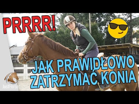 Wideo: Jak Zatrzymać Konia