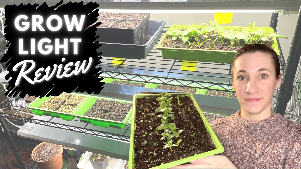 Les conseils - Grow Light