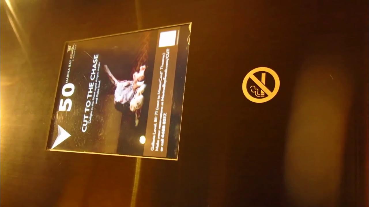 Elevator песня. Песня лифт speed up. Лифт пицца текст. Песня лифт speed up. Elevator creative ads.