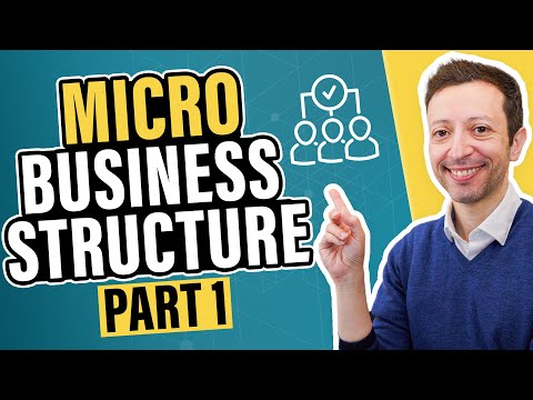 Video: Kaip veikia mikro verslas?