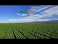 Western growers center for innovation  technology