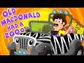 Old MacDonald Had A Zoo Nursery Rhymes Songs For Kids Zoo Song For Baby Kids Tv