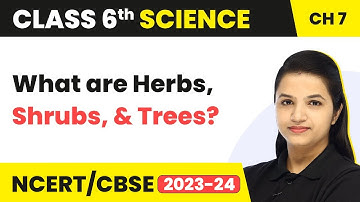 Class 6 Science Chapter 7 | Getting to Know Plants - What are Herbs, Shrubs, and Trees?